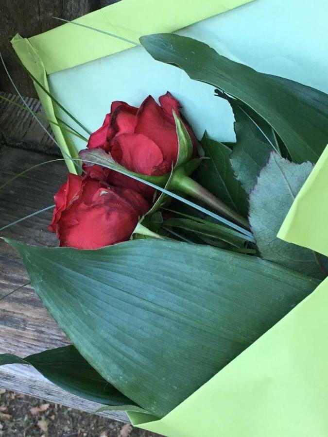 La Des Amoureux Alojamento de Acomodação e Pequeno-almoço Barjols
